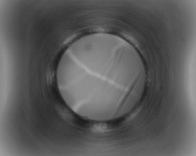 X0000084010355200703091932