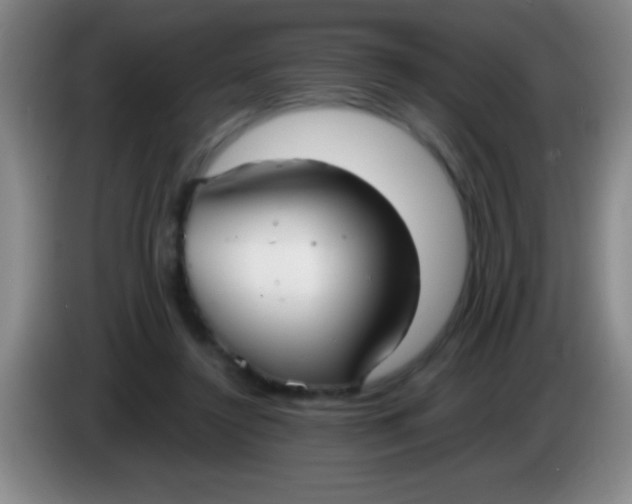 X0000084010356200703091932