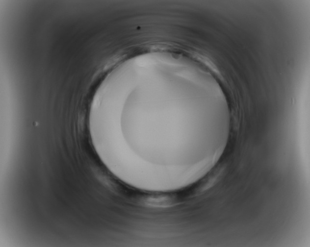 X0000084010357200703091932