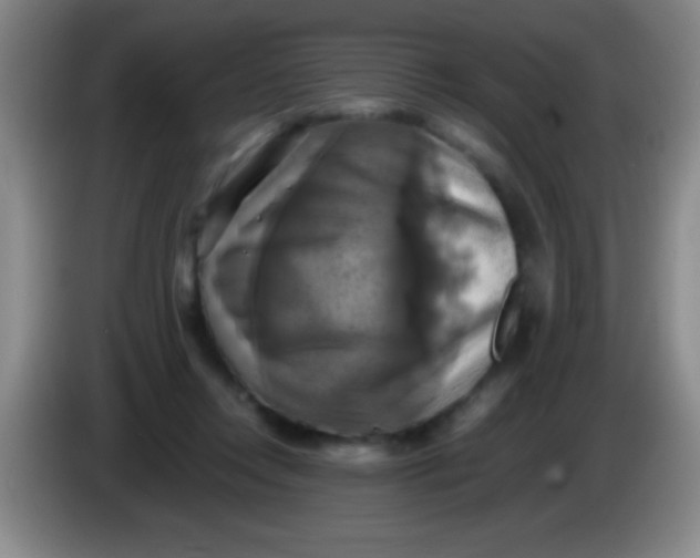 X0000084010358200703091932