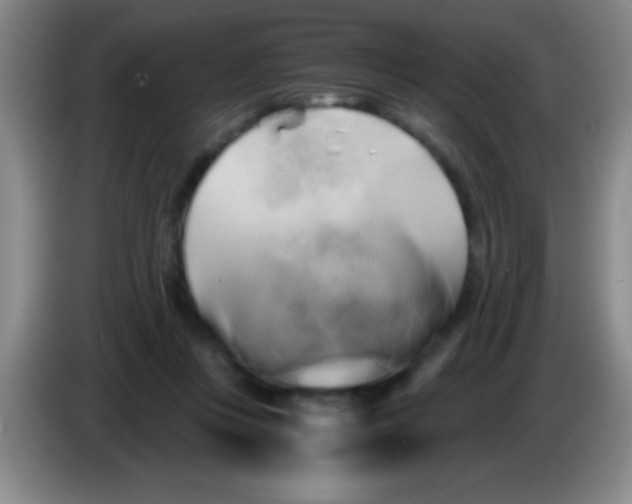 X0000084010359200703091932