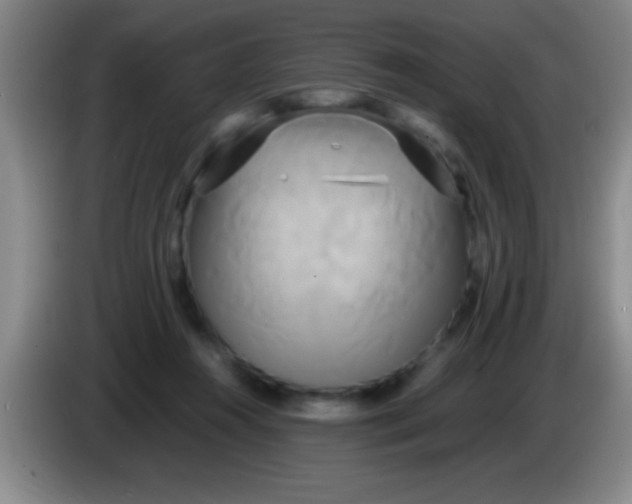 X0000084010360200703091932