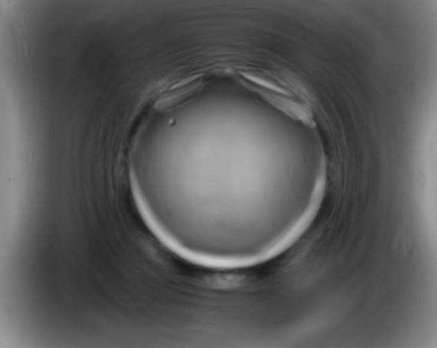 X0000084010361200703091932