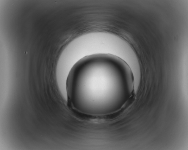 X0000084010362200703091932