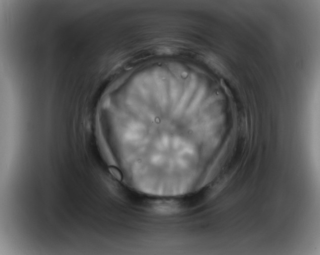 X0000084010363200703091932