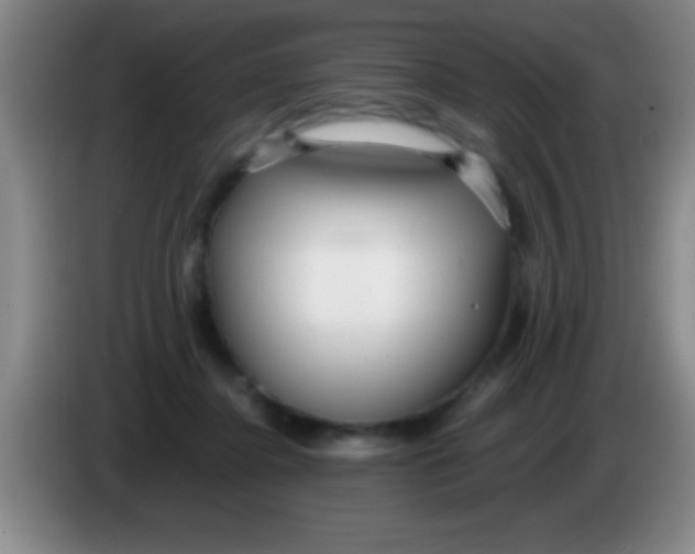 X0000084010364200703091932