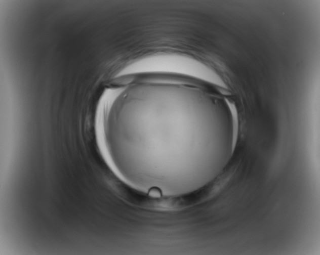 X0000084010365200703091932