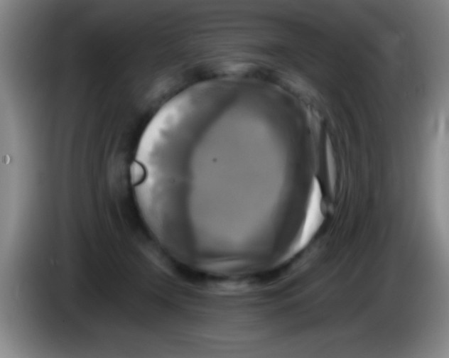 X0000084010366200703091932