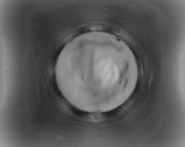 X0000084010367200703091932