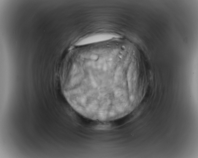 X0000084010369200703091932