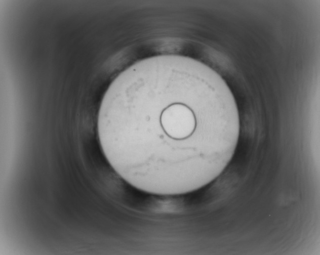 X0000084010370200703091932