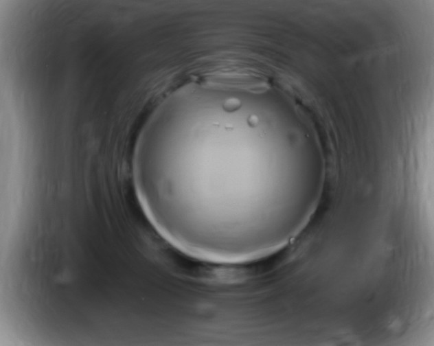 X0000084010371200703091932