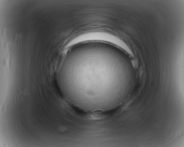 X0000084010372200703091932