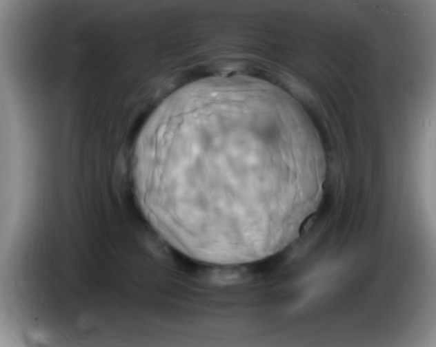 X0000084010373200703091932