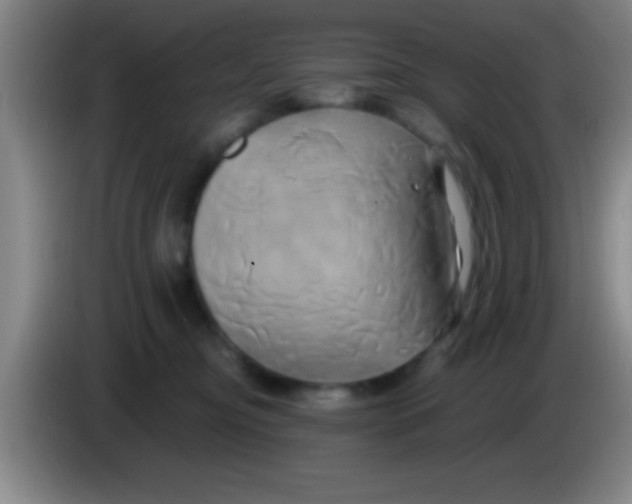 X0000084010374200703091932