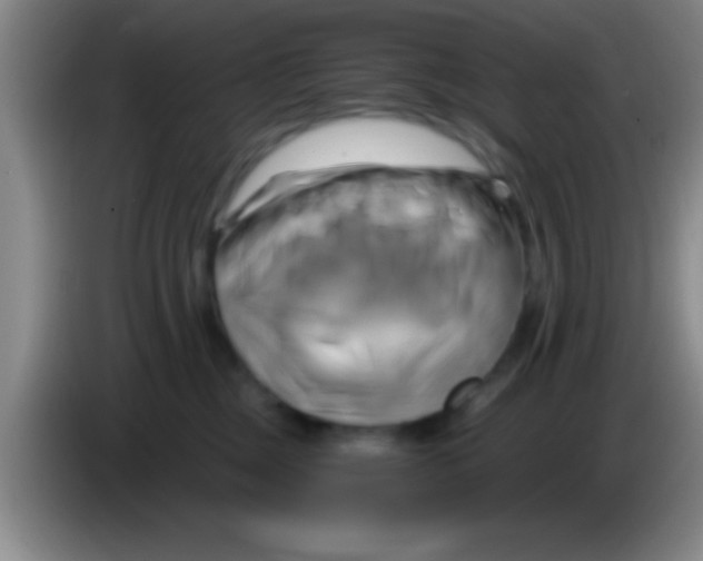 X0000084010377200703091932