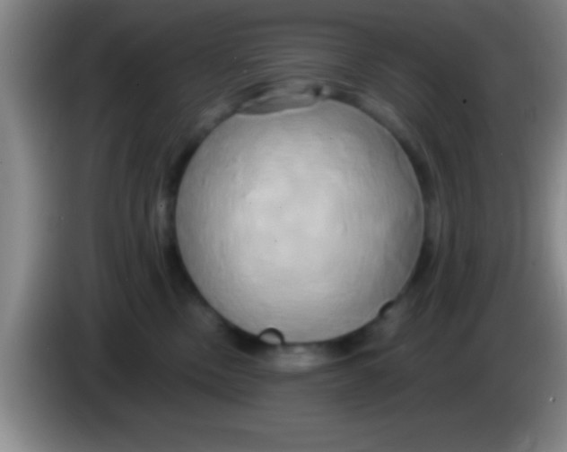 X0000084010378200703091932