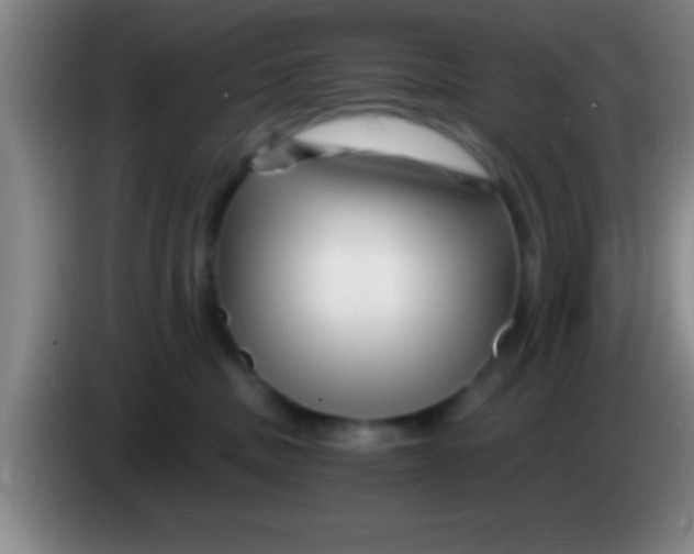 X0000084010379200703091932