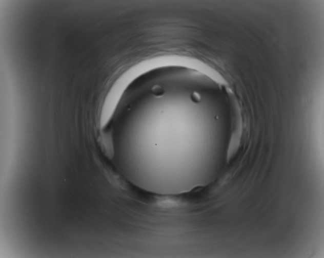 X0000084010380200703091932