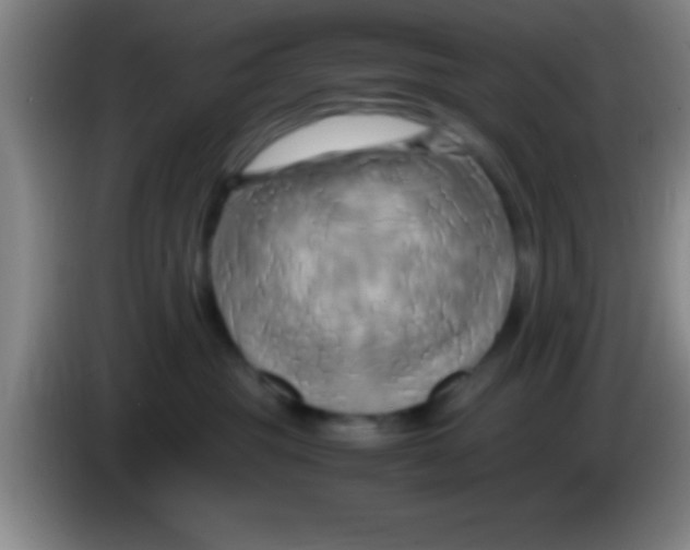 X0000084010381200703091932