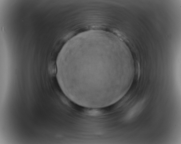 X0000084010383200703091932