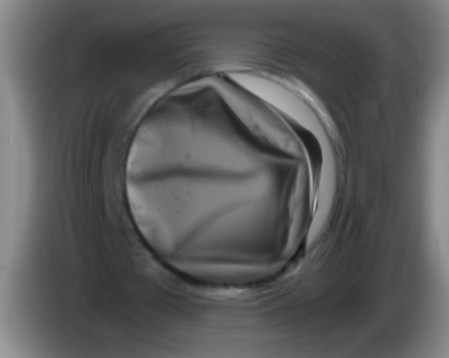 X0000084010385200703091931