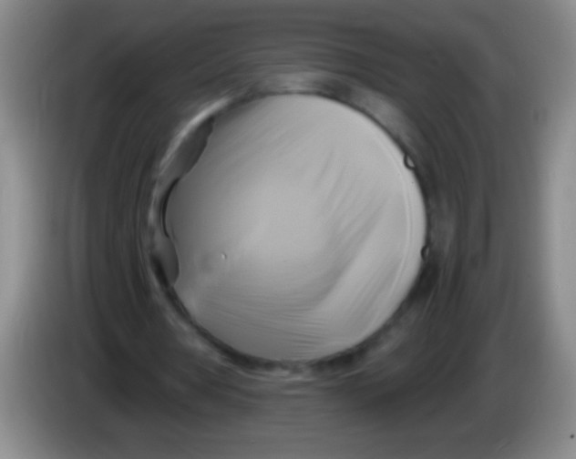 X0000084010386200703091931