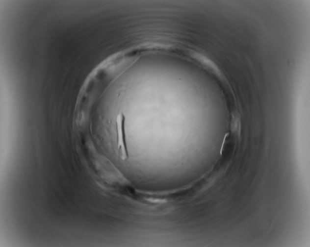 X0000084010388200703091931