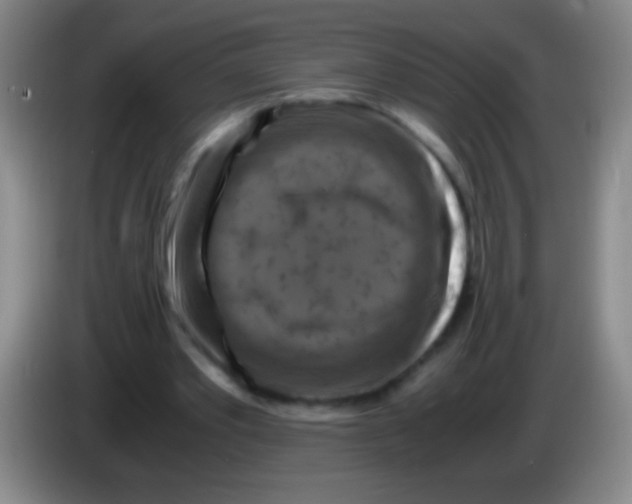 X0000084010389200703091931