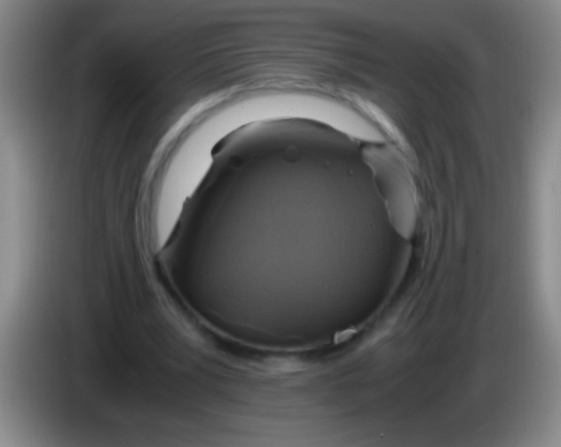 X0000084010391200703091931