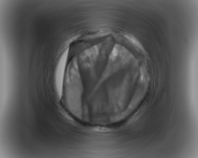 X0000084010393200703091931