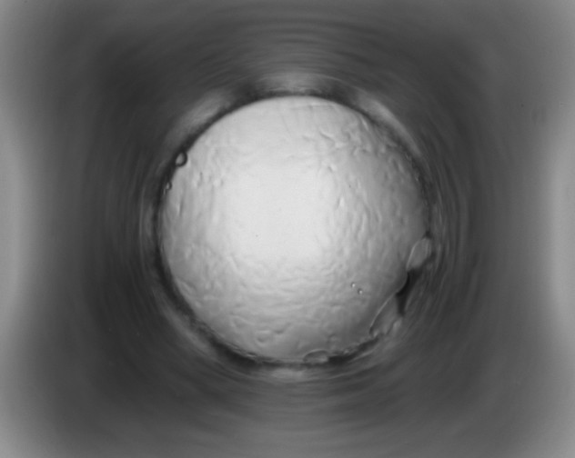 X0000084010394200703091931