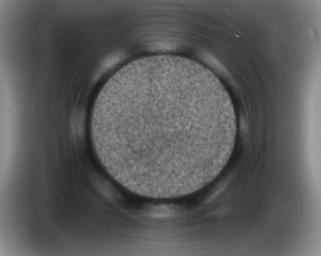 X0000084010396200703091931