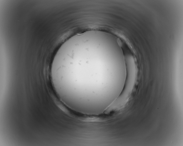 X0000084010397200703091931