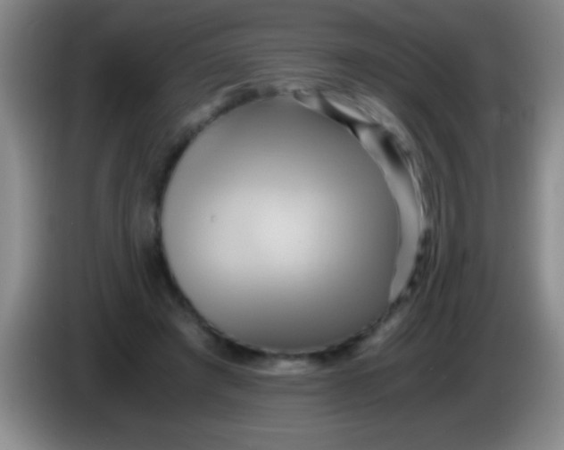 X0000084010401200703091931