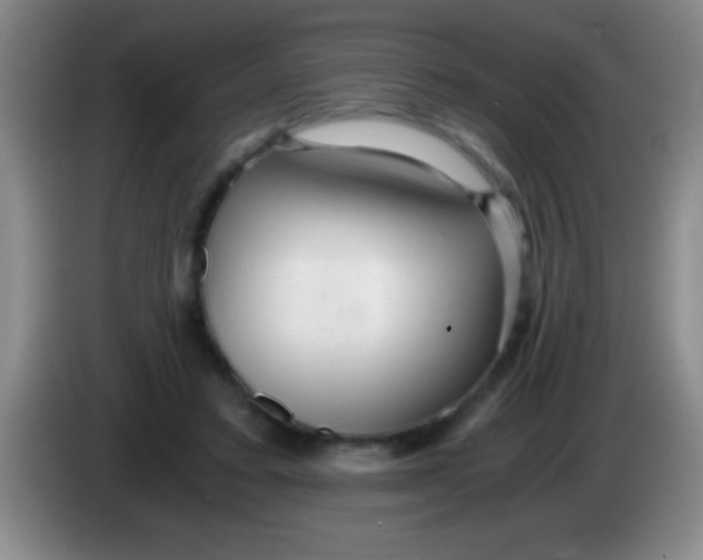 X0000084010403200703091931