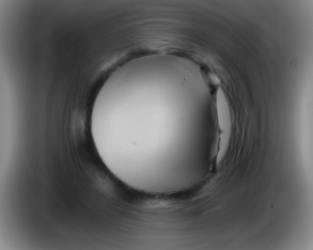 X0000084010404200703091931