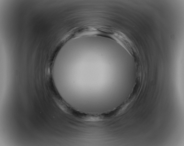 X0000084010405200703091931