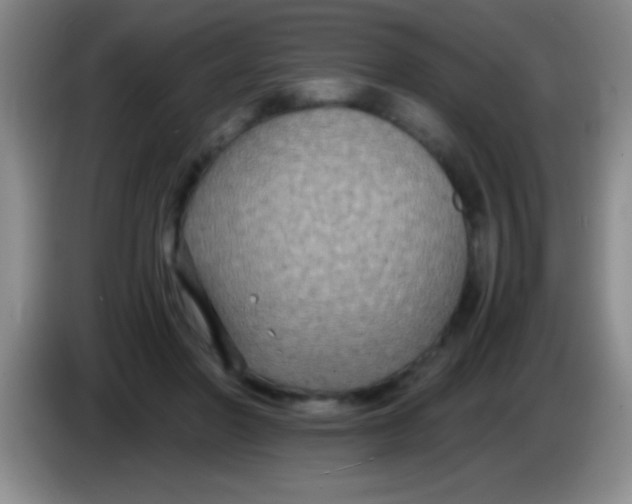 X0000084010406200703091931