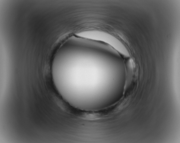 X0000084010407200703091931