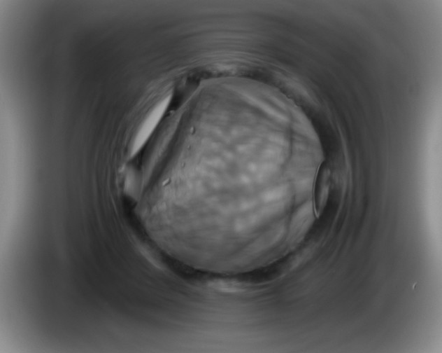 X0000084010408200703091931