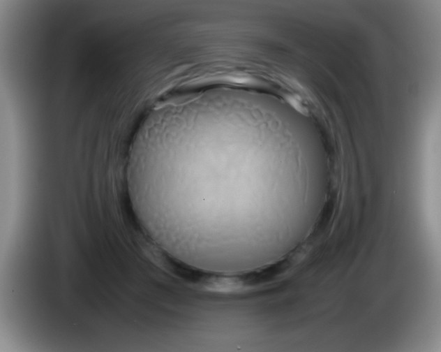 X0000084010409200703091931