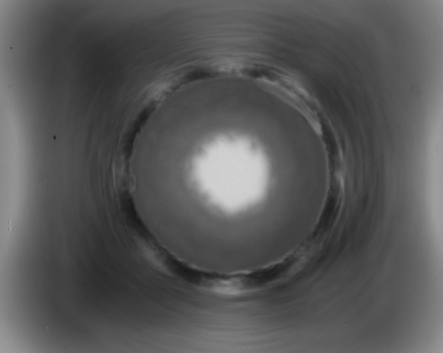 X0000084010411200703091931