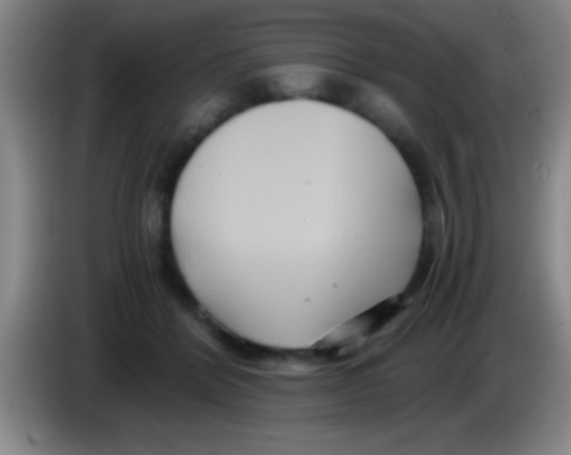 X0000084010412200703091931