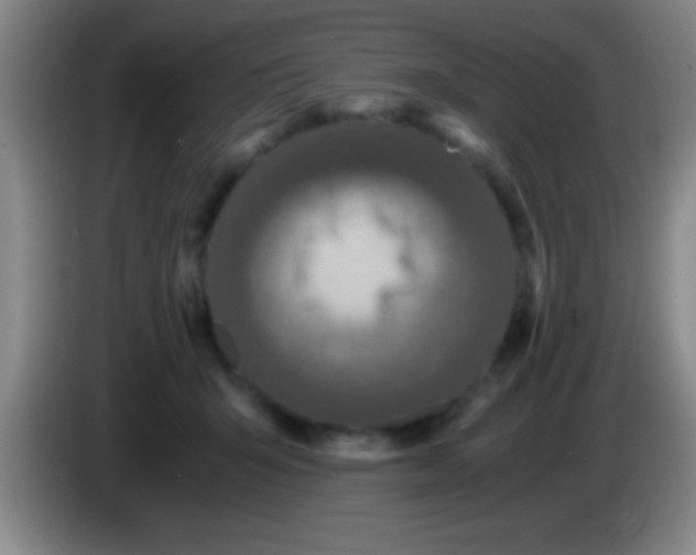 X0000084010415200703091931