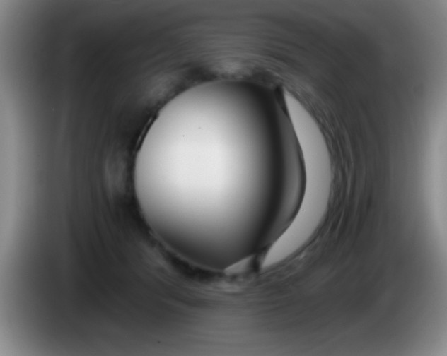 X0000084010416200703091931