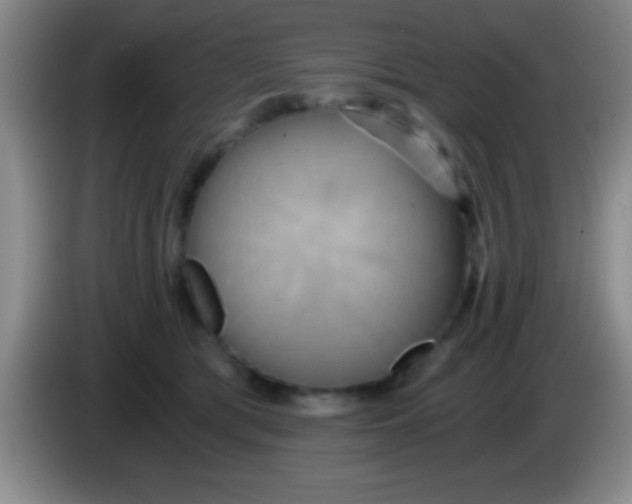 X0000084010417200703091931