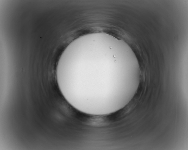 X0000084010418200703091931