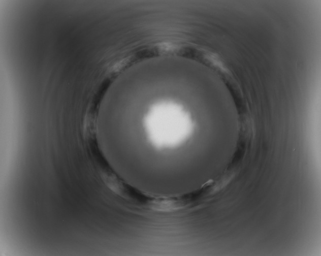 X0000084010419200703091931