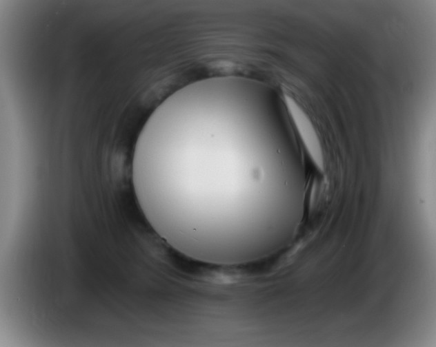 X0000084010420200703091931